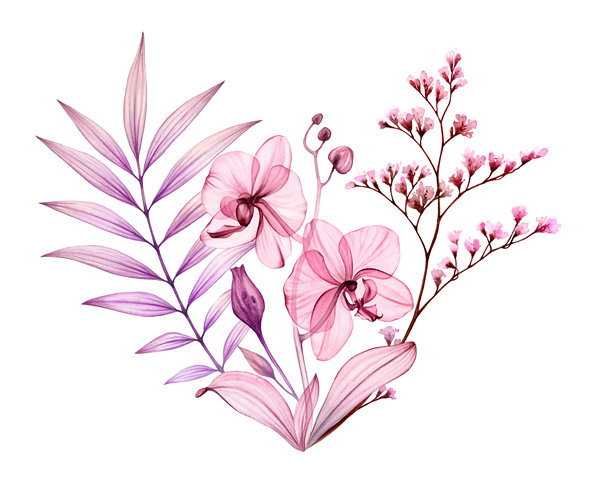 水彩热带花束。抽象透明的兰花、棕榈枝和叶子，呈灰粉色和紫色。孤立的手绘植物插画，用于婚礼设计、文具卡片印刷。图片下载