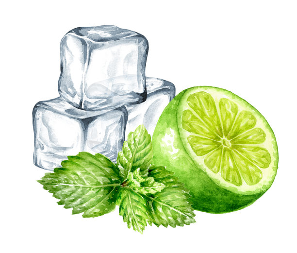 新鲜的柑橘青柠、薄荷和冰块，晶莹剔透的冰块。手绘水彩插画，孤立在白色背景上图片下载