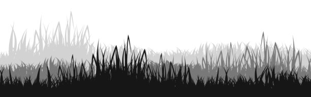 草地、植物的草甸剪影。全景夏季草坪景观，包含香草和各种野草。草本植物边框，框架元素。黑色横幅。矢量插画图片下载