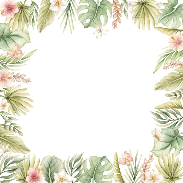 龟背竹棕榈叶芙蓉鸡蛋花。热带异国情调边框。水彩手绘夏日插画图片下载
