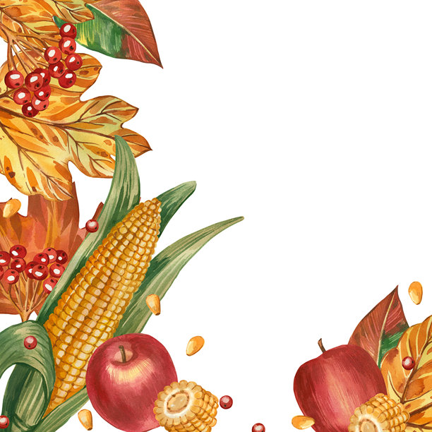 水彩风格的感恩节边框，包含季节性水果和蔬菜，如苹果、玉米、浆果以及秋叶，全部采用水彩绘制。此插画非常适合印在纸张或布料上。图片下载