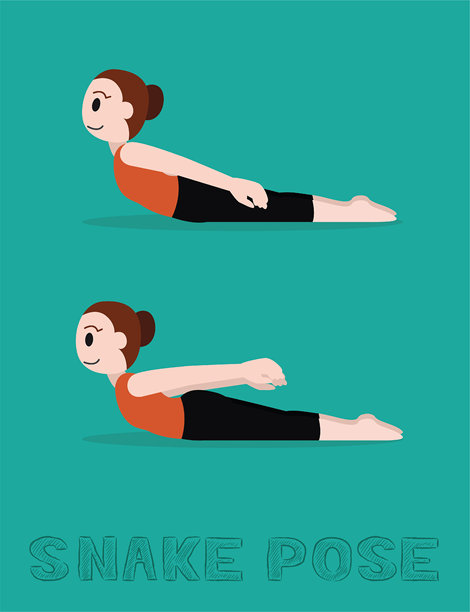 瑜伽蛇式（Sarpasana）卡通矢量插画图片下载