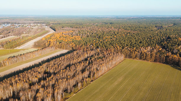 秋季森林和田野的无人机照片图片下载