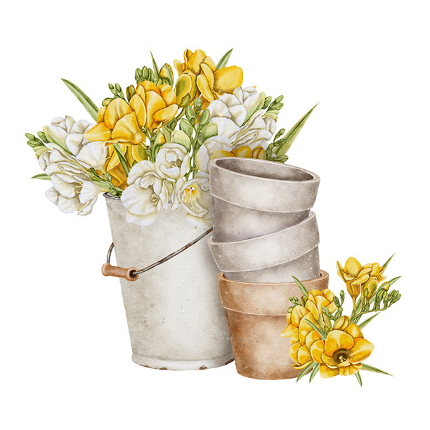 黄色和白色的水彩插画图片下载