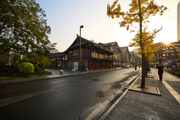 成都远洋太古里商业街的银杏树在日出时分图片下载