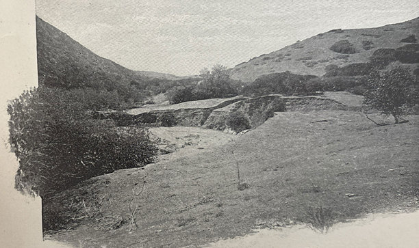 古董插画 - 南加州典型的沙漠风光图片下载