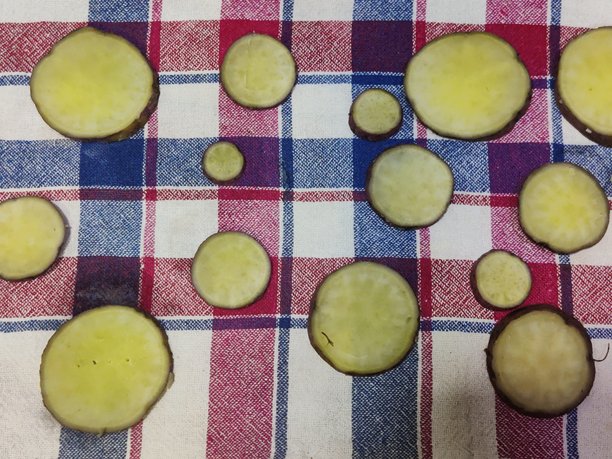 切片的红薯 - 高清图库照片图片下载