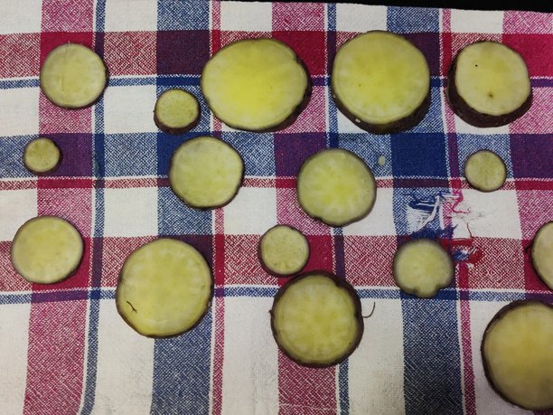 切片红薯 - 高清图库照片图片下载