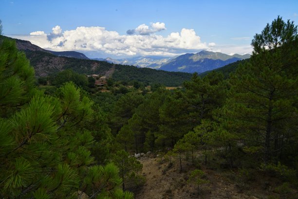 夏季美丽的森林山脉自然风光。雨林生态系统，森林覆盖的山脉。热带绿色森林的自然景色。旅行照片，无人。图片下载