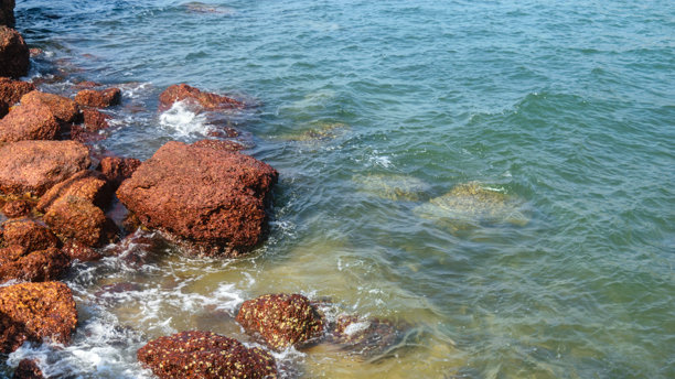 果阿的风景海岸自然建筑和海滩照片图片下载