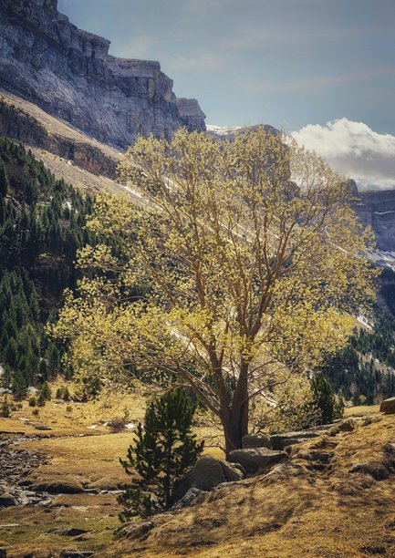 夏日美丽的森林山脉自然风光。雨林生态系统，森林覆盖的山脉。自然景观热带绿色森林。旅行照片，无人。图片下载