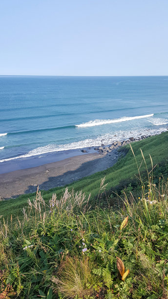 这张照片捕捉了从库页岛（千岛群岛）一处长满青草的山坡上看到的壮丽海滨沙滩景色。图片下载