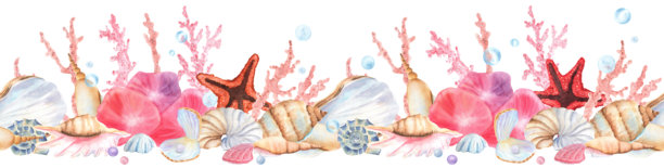 以海洋为主题的无缝边框，包含贝壳、珊瑚、珍珠、水螅体和海星。水生生物。海底世界剪贴画。手绘水彩插画，适用于旅行主题设计和包装。图片下载