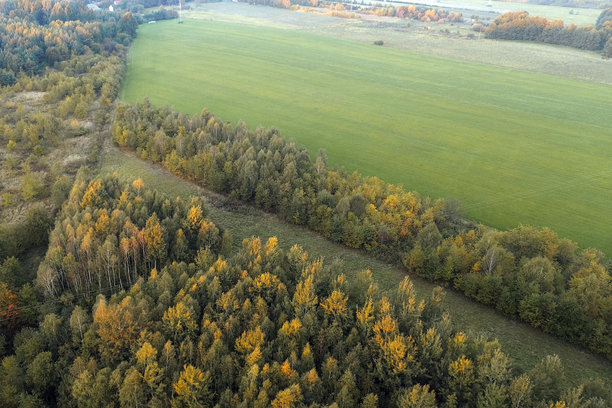 秋季森林和田野的无人机照片图片下载