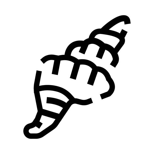 海螺贝壳线描图标矢量图图片下载