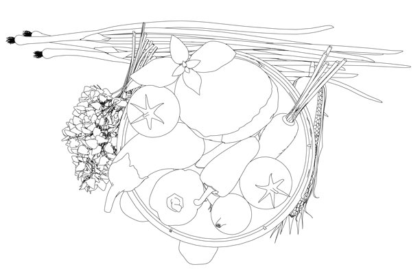 一个装满各种水果和蔬菜的篮子，例如苹果、橙子、胡萝卜和辣椒。素描风格的插画，在干净的白色背景上带有黑色轮廓线。图片下载