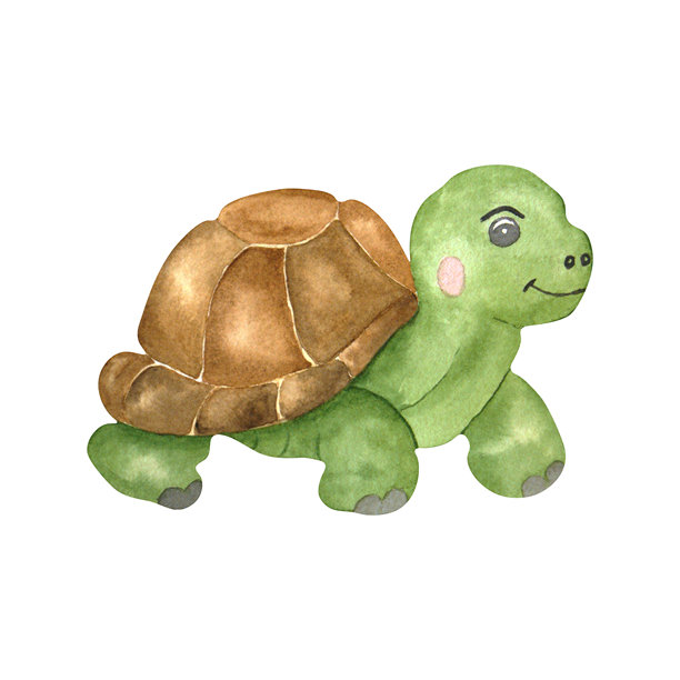 白色背景上的儿童玩具乌龟水彩插画，适用于包装、纺织品、设计、封面和笔记本。图片下载