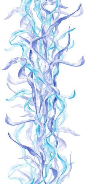 一圈垂直的海藻图案，无缝连接。海生物的水彩插画，适合室内设计、儿童派对和海报印刷。图片下载