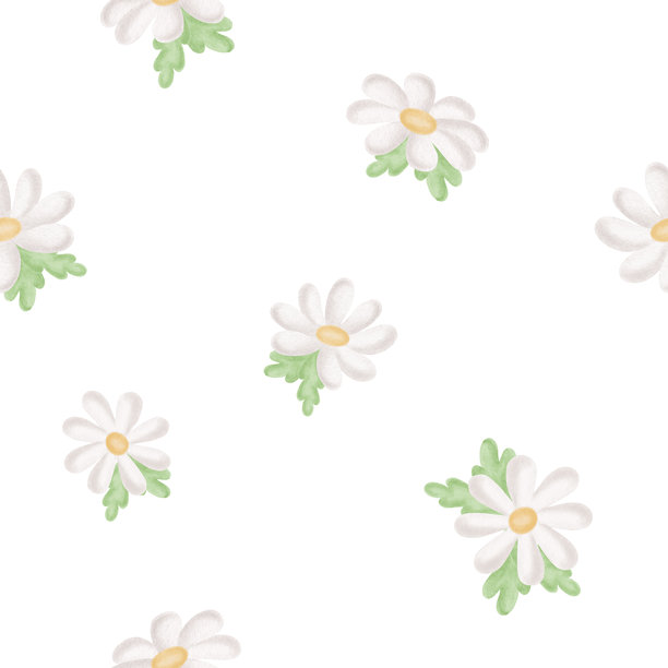 雏菊叶子水彩无缝边框，适合儿童设计。白色雏菊花朵的夏季背景插画，适合婴儿主题。手绘独立花卉模板，适用于纺织品、壁纸。图片下载