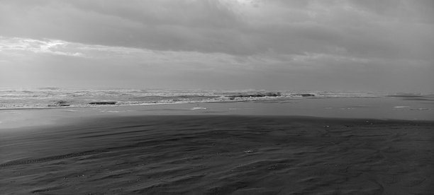 清晨的海滩照片图片下载