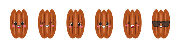 一套山核桃坚果，可爱有趣的卡通形象，美味健康的坚果，大眼睛，喜悦开心的表情，笑脸，卡哇伊风格，矢量图标儿童插画。图片下载