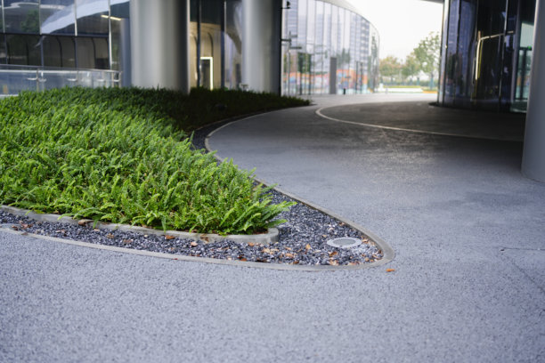 建筑围合空间：廊柱旁的蕨类植物和弧形步道风光图片下载