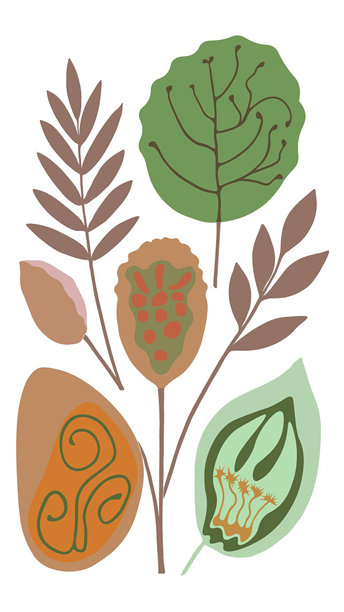 抽象植物插画，生态设计风格，带有自然元素，色调柔和图片下载
