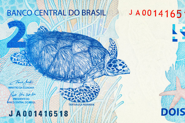 巴西2雷亚尔纸币，带有海龟图案。设计师素材。巴西货币。图片下载