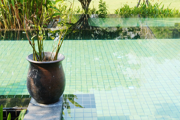 热带花园里，装饰着陶罐的植物在自然阳光下靠近游泳池，留有复制空间。图片下载