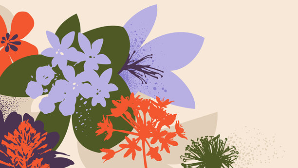 现代花卉背景图片下载