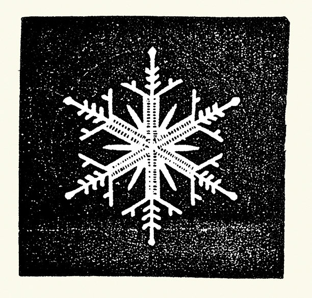 雪花特写，雪，水晶，19世纪复古插画，19世纪50年代图片下载