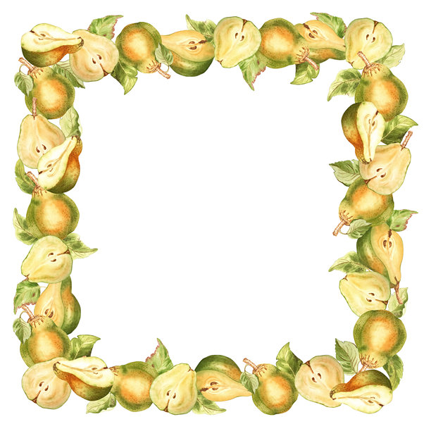 一套水彩插画：一个完整的梨、梨片、半个梨、花朵、树枝、叶子。图片下载