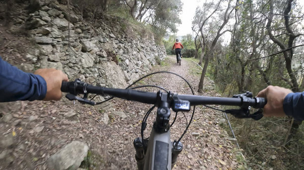 第一视角，跟随一名年轻女子骑行电动山地自行车穿越森林图片下载