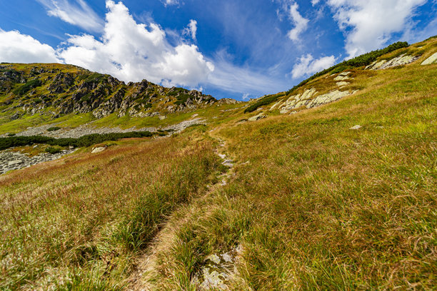 斯洛伐克高塔特拉山的高海拔山地草甸和岩石山峰图片下载