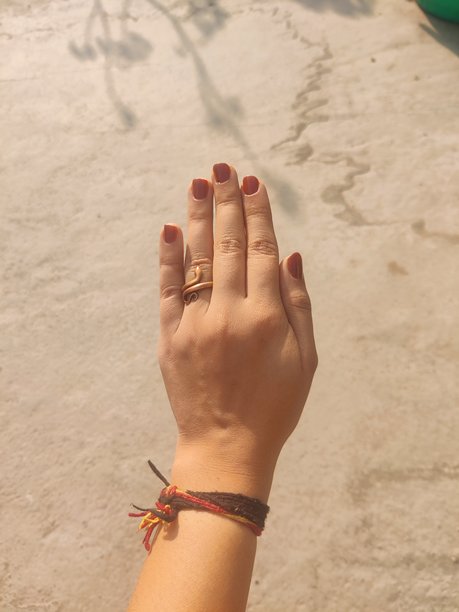 精心修饰的单手，背景为中性色调 - 高清图库照片图片下载