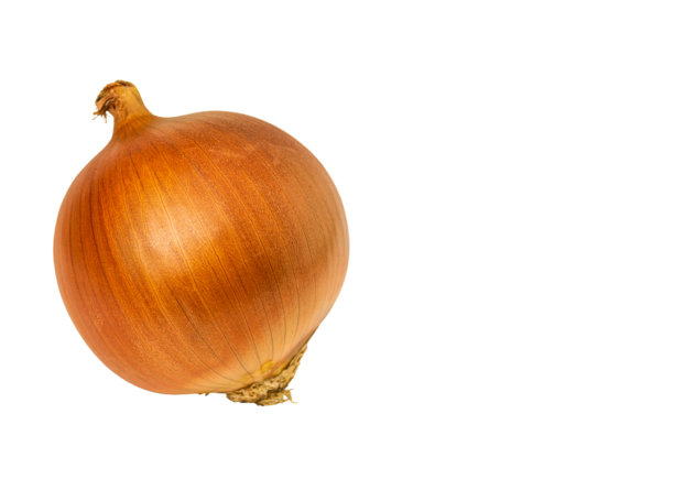 高细节洋葱特写照片，孤立在白色背景上，带有剪切路径，无阴影，留有空白复制空间用于文字。适用于烹饪和蔬菜主题的设计和艺术创作。图片下载