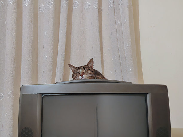 一只猫坐在有窗帘的房间里的旧电视上。图片下载