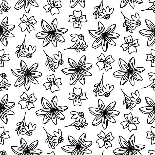 涂鸦花卉图案。包含洋甘菊、茉莉、八角星的无缝纹理。单色线条混合。非常适合专注于健康的品牌、商店和养生内容。用于市场营销的包装。图片下载