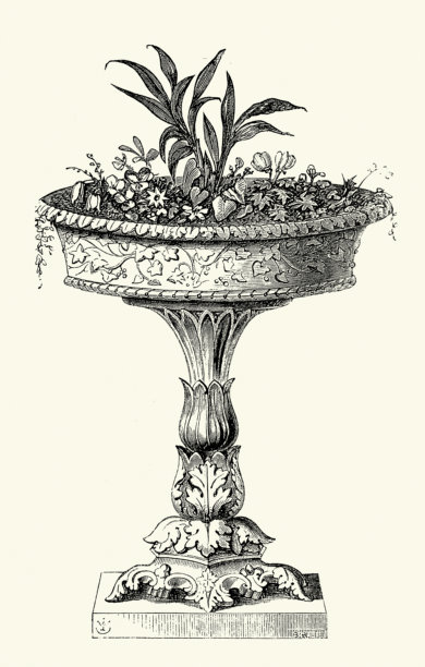 历史园艺，装饰艺术，花园，石制花盆，花盆，复古插画，19世纪，19世纪50年代图片下载