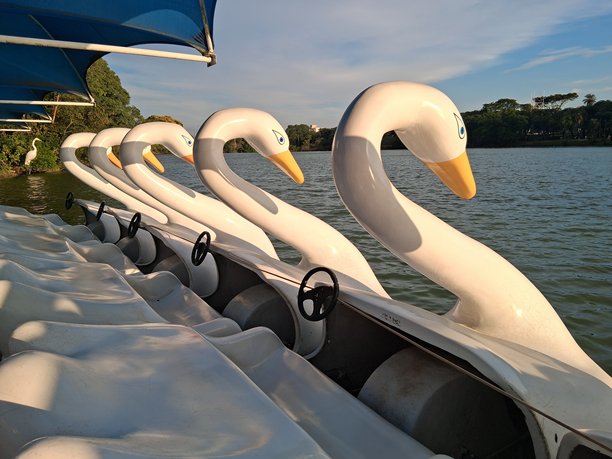 晴朗的一天，蓝天白云下，几艘天鹅造型的脚踏船停泊在湖面上。深海照片。图片下载