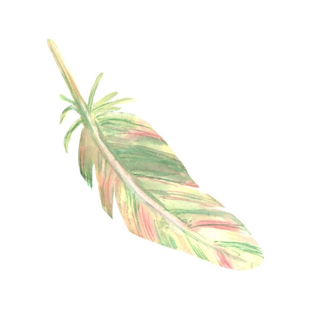 黄色和绿色的鸟羽毛，水彩手绘，孤立背景；简单的羽毛设计，用于装饰护身符、符咒和捕梦网。波西米亚风格的美洲原住民。图片下载