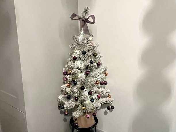 室内装饰的白色圣诞小树图片下载