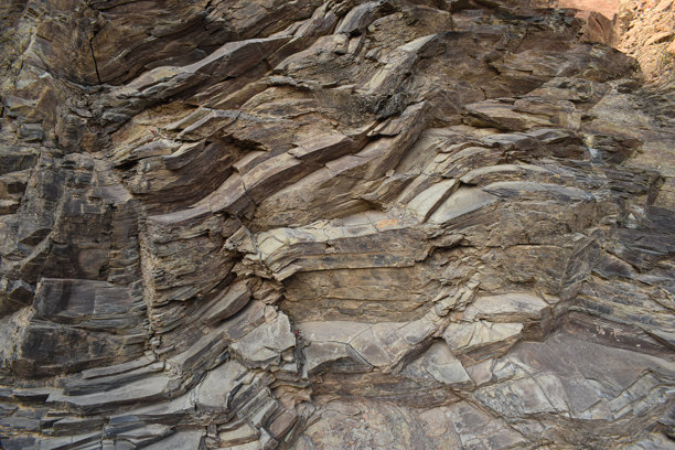 粗糙纹理岩石表面的特写，原始石面展现有机形状和线条，质朴的岩石纹理非常适合用作背景或设计素材。图片下载