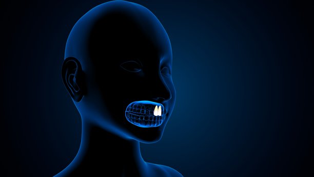 蓝色背景下的人体结构牙齿解剖图。3D插画。图片下载