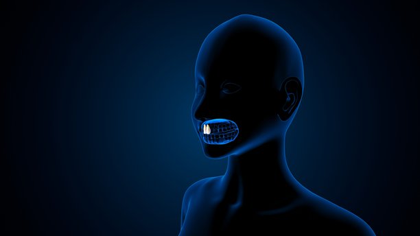 蓝色背景下的牙齿解剖结构及身体构造。3D插画图片下载