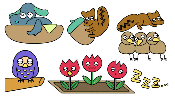 可爱动物和植物睡觉和生长的插画素材图片下载