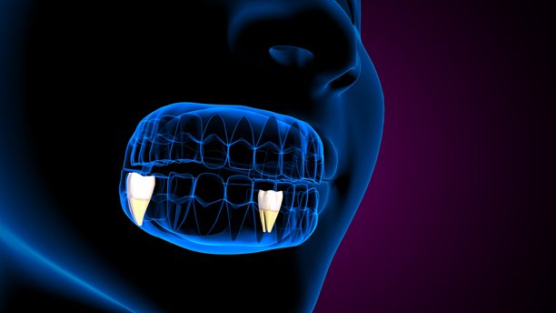 蓝色背景下的牙齿解剖及身体结构。三维插画图片下载