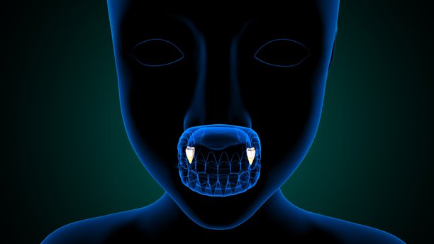 蓝色背景下的牙齿解剖结构与身体构造。三维插画。图片下载