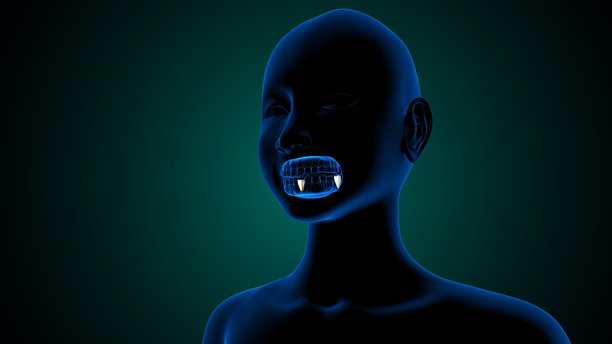 蓝色背景下的牙齿解剖与身体结构。三维插画。图片下载