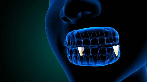 蓝色背景下的牙齿解剖结构与身体构造。3D插画图片下载